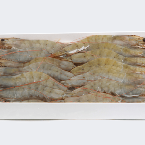 Fresh seafood for sale with premium shrimp from Santa Priscilasa
