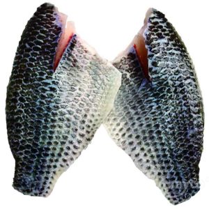 Tilapia for sale | Santa Priscilasa