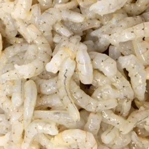 Shrimp sorted by global seafood distributor Santa Priscilasa