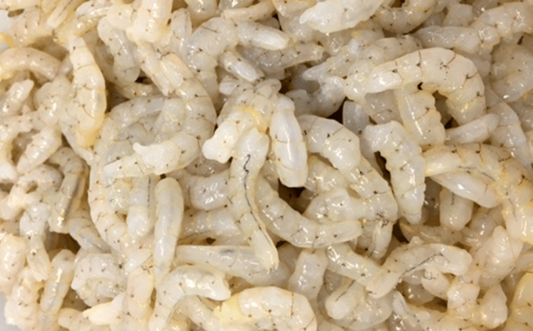 Shrimp sorted by global seafood distributor Santa Priscilasa